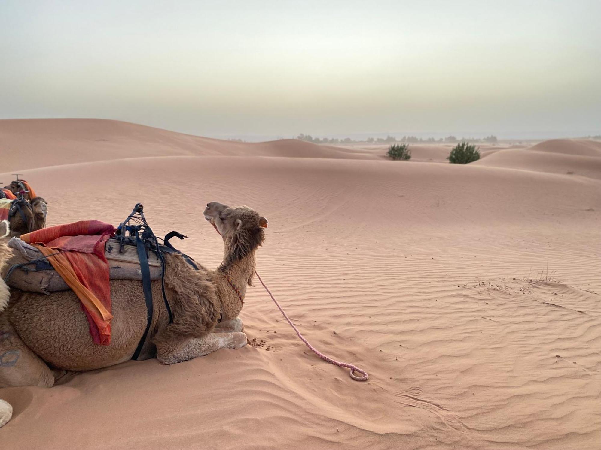 Erg Chebbi Sahara Camp Hotel Merzouga Bagian luar foto